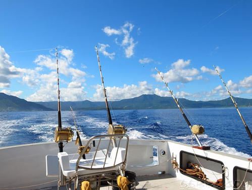 sea fishing sea fishing