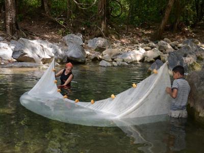 La qualità dello sviluppo della pesca è migliorata in modo significativo